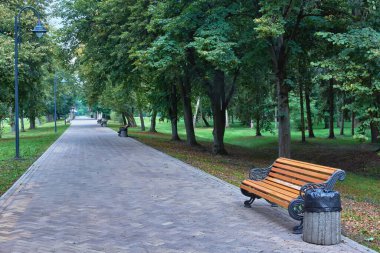 Parktaki sokaklar ağaçların arasında asfalt ve fenerlerle kaplı..