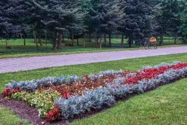 Çiçekli ve stilize edilmiş eski bisiklet çiçek tarhı parktaki ara sokakta..