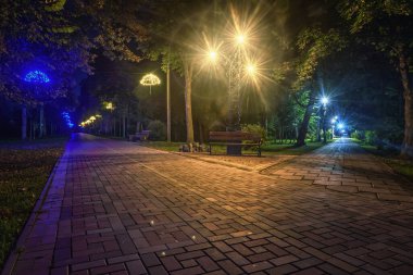 Gece parkındaki sokaklar ağaçların arasında asfalt ve fenerlerle kaplı..