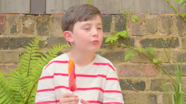 Cute young boy eating an ice lolly — Stock Video