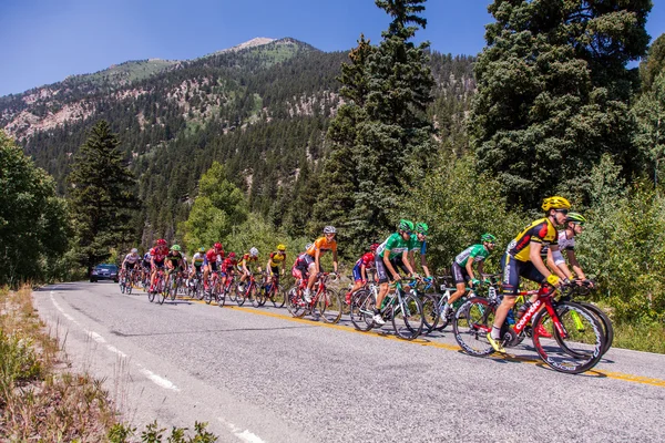 2015 ABD Pro Bisiklete binme mücadelesine rekabet Bisiklet yarışçıları