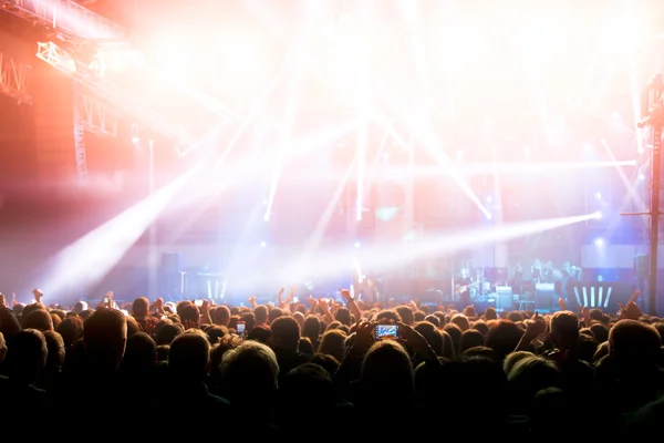 Multitud de conciertos — Foto de Stock