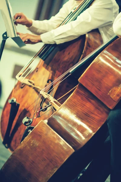 Symfoniorkester på scenen, händer spelar akustisk bas — Stockfoto