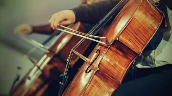 Symphony orchestra on stage, hands playing cello — Stock Photo, Image