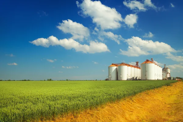 Silos agricoli sotto il cielo blu, nei campi — Foto Stock