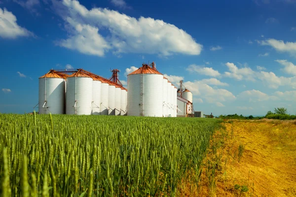 Silos agricoli sotto il cielo blu, nei campi — Foto Stock