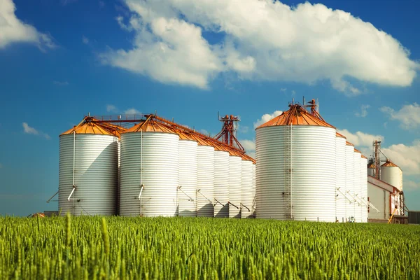 Silos agricoli sotto il cielo blu, nei campi — Foto Stock