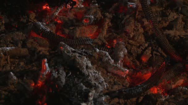 Embers și cenușă de flacără mare — Videoclip de stoc