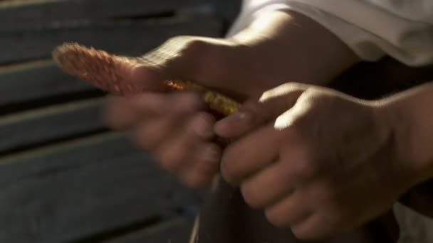 Étouffer le maïs - gros plan des séquences HD 1080P 