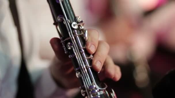 Playing clarinet classic music — Stock Video