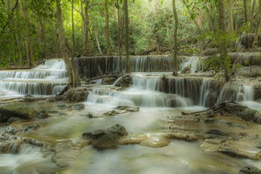 Günbatımı, doğal arka plan ile 