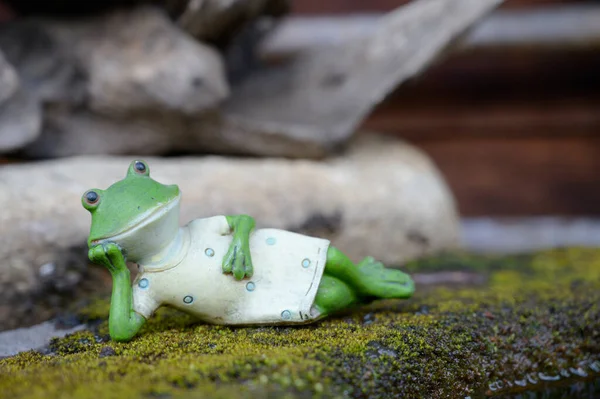 苔藓自然背景上的青蛙模型 — 图库照片