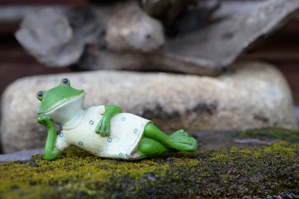 Groda Modell Placeras Mossa Naturlig Bakgrund — Stockfoto