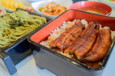 Pirinç ve Japon yemeği üzerine ızgara yılan balığı.