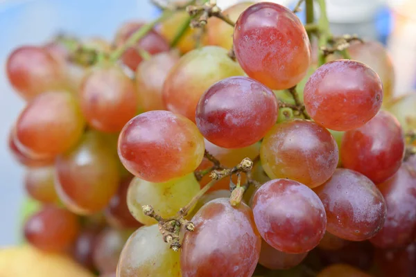 Red Vine Grapes Background — Stock Photo, Image