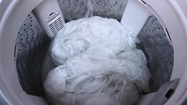 Çamaşır Makinesi Dönüyor — Stok video