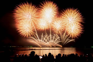 Havai fişekler ve havai fişekler fotokopi alanıyla siyah arkaplanı kutluyor