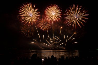 Havai fişekler ve havai fişekler fotokopi alanıyla siyah arkaplanı kutluyor