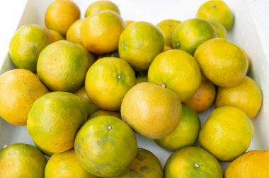 Meyvenin arka planında toplanan turunçgiller