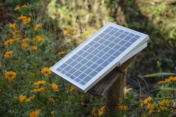 Bulanık arka plan ve çiçeklere yerleştirilmiş küçük güneş panelleri