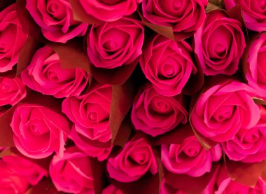 Çok sayıda gül buketi arka plan için yumuşak ve bulanık bir tarzda tatlı renklerde dizilmiştir.