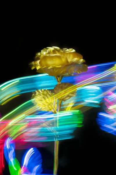 Desenfoque Rosas Cristal Sobre Fondo Luz Color Sobre Fondo Negro — Foto de Stock