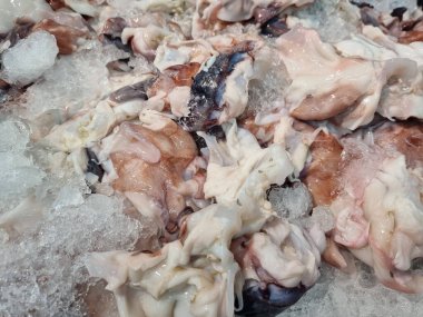 Arka planda bir sürü taze kesilmiş ahtapot eti var..