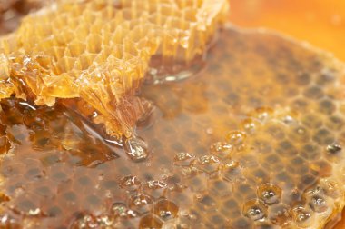 Kopya alanı olan beyaz arkaplanda taze bal peteği