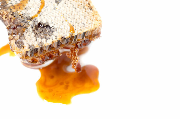 fresh honeycomb on white background with copy space