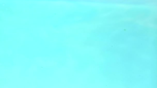 Élénk Színű Mesterséges Lótusz Vízcseppekkel Relaxáló Koncepció Zuhanó Vízhullámokkal Lassított — Stock videók
