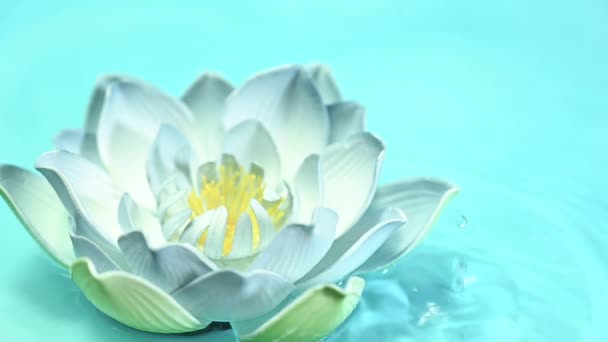 Lotus Artificiel Aux Couleurs Vives Avec Des Gouttelettes Eau Concept — Video