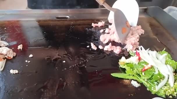 Slow Motion Video Stir Fried Basil Minced Pork Casserole — Stock Video