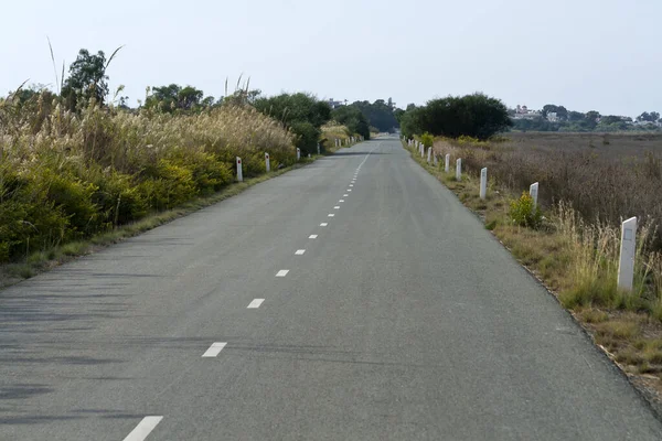Empty Asphalt Road Bollards Countryside — Stock Photo, Image