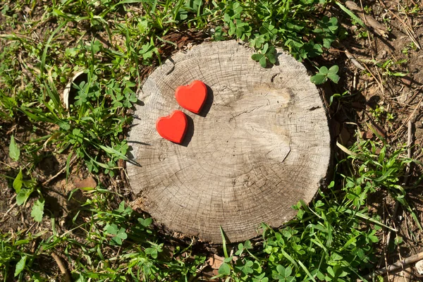 Baumstumpf Mit Zwei Roten Herzförmigen Figuren Inmitten Von Grünem Gras — Stockfoto