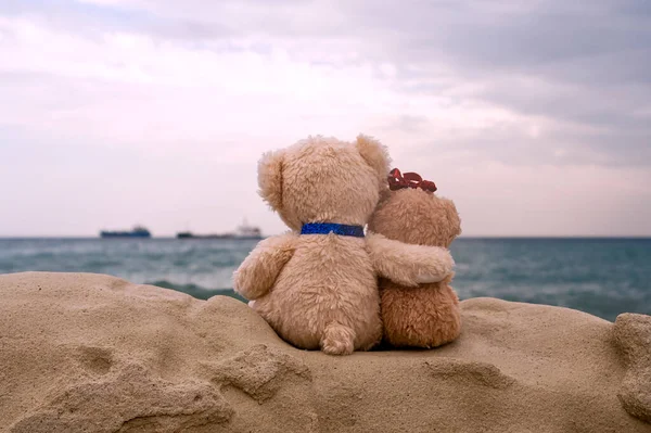 两只恋爱中的泰迪熊坐在海边的大石头上 图库照片