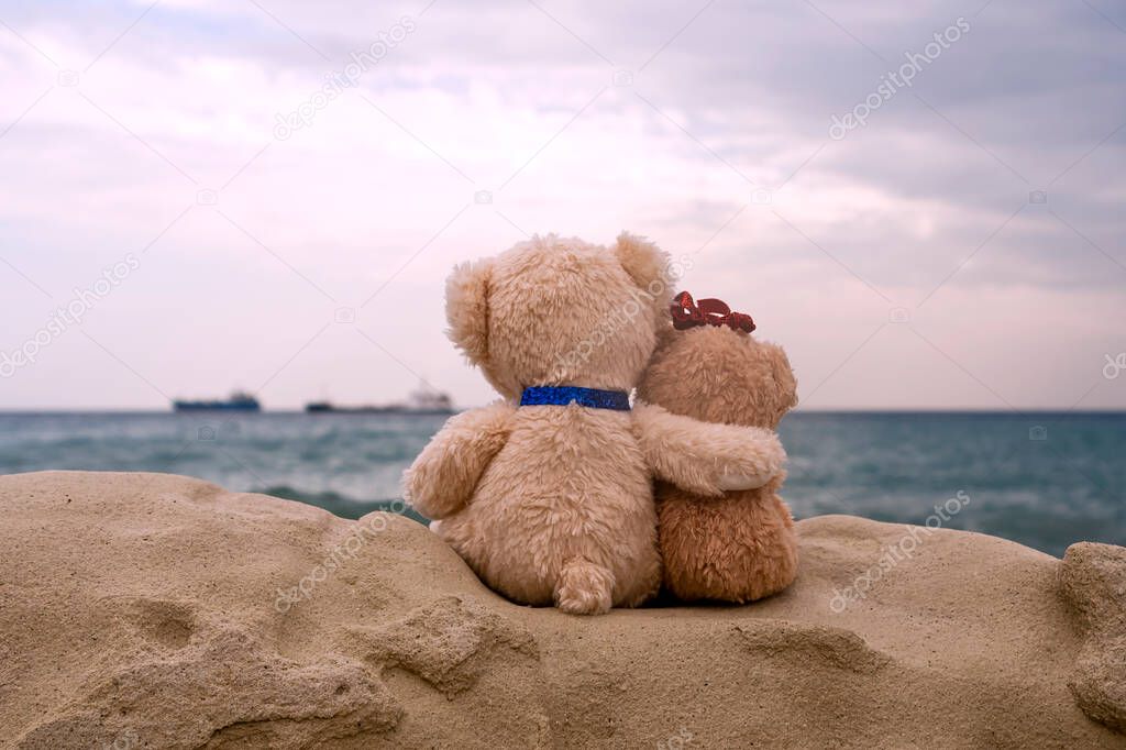 Two teddy bears in love sitting on big rock in front of the sea