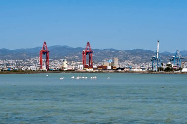 Kıbrıs Rum Kesimi 'nin Limasol Yeni Limanı yakınlarında flamingolu Akrotiri Tuz Gölü manzarası 