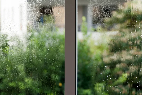Wet window glass with lots of raindrops, water drippings and blurred green garden view