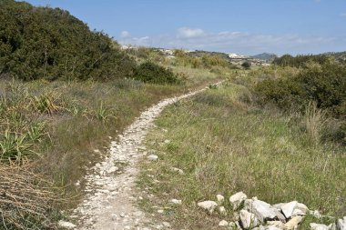 Yeşil otların ve çalıların arasında boş dağ yolu