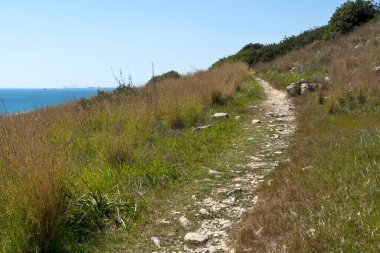 Deniz manzaralı yeşil çimlerin arasında dağ taşı patikası
