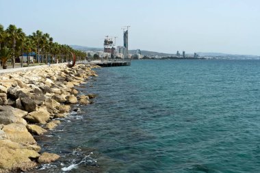 Limasol, Kıbrıs, 9 Mart 2021: Palmiye ağaçları, şehir manzarası ve Akdeniz manzaralı deniz manzaralı Molos gezisi