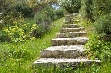 Yeşil otların ve çalıların arasındaki dağ yolunda taş merdivenler.
