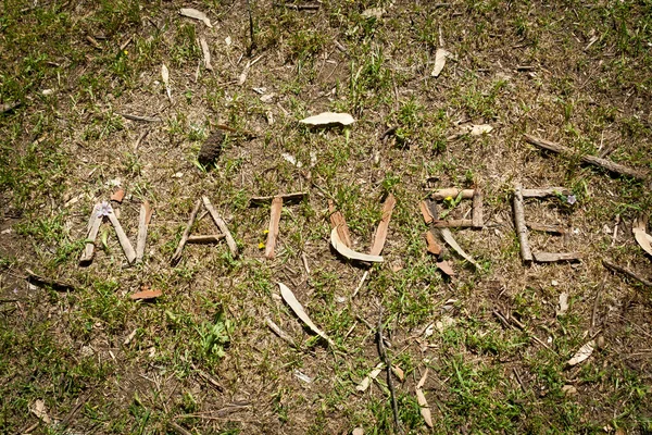 Palabra Naturaleza Hecha Trozos Corteza Suelo Del Bosque Luz Del —  Fotos de Stock