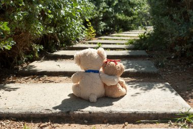 İki küçük oyuncak ayı parktaki patikada güneş ışığında oturuyorlar.