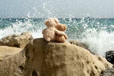 İki küçük oyuncak ayı su sıçratan dalgaların önünde büyük bir deniz kayasının üzerinde oturuyor.