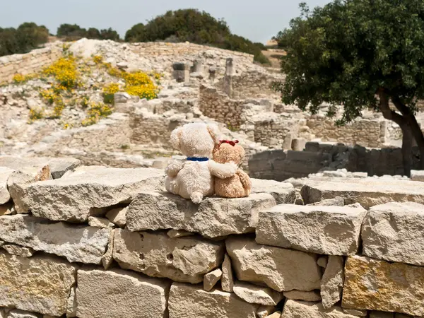 两只小泰迪熊坐在考古遗址的古石墙上 — 图库照片