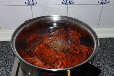 Taze yengeçler tavada kaynıyor. 