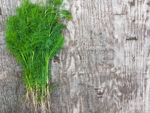 Bunch of fresh green dill on grey vintage background. — Stock Photo, Image