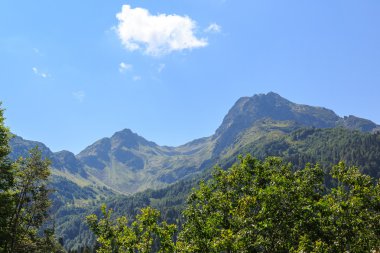 Kafkas Dağları, alpine meadows