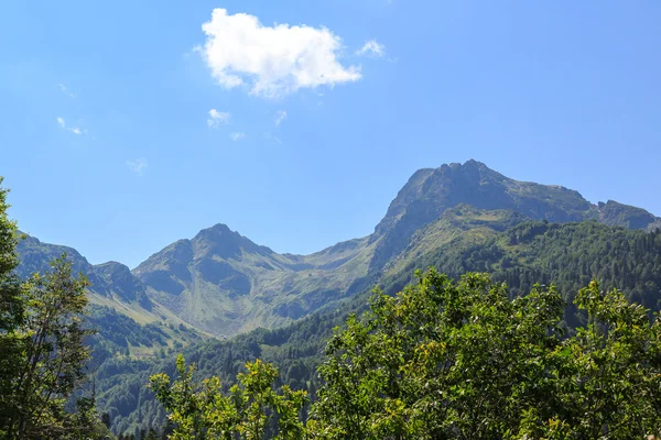 Kaukasus bergen, alpina ängar — Stockfoto